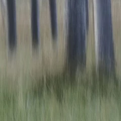 Foto 3 de 6 de la galería hasta-14 en Xataka Foto