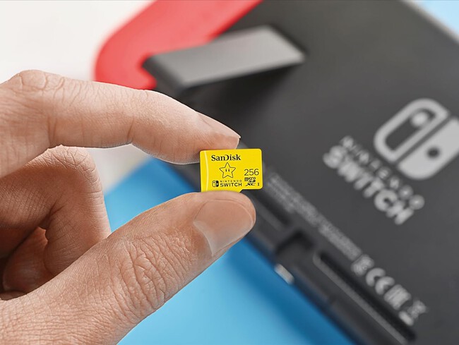 microSD SanDisk