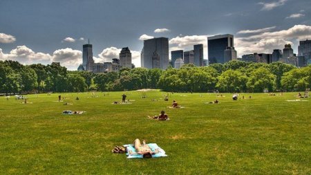 El WiFi gratuito invade las zonas verdes de Nueva York