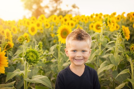 niño entre girasoles
