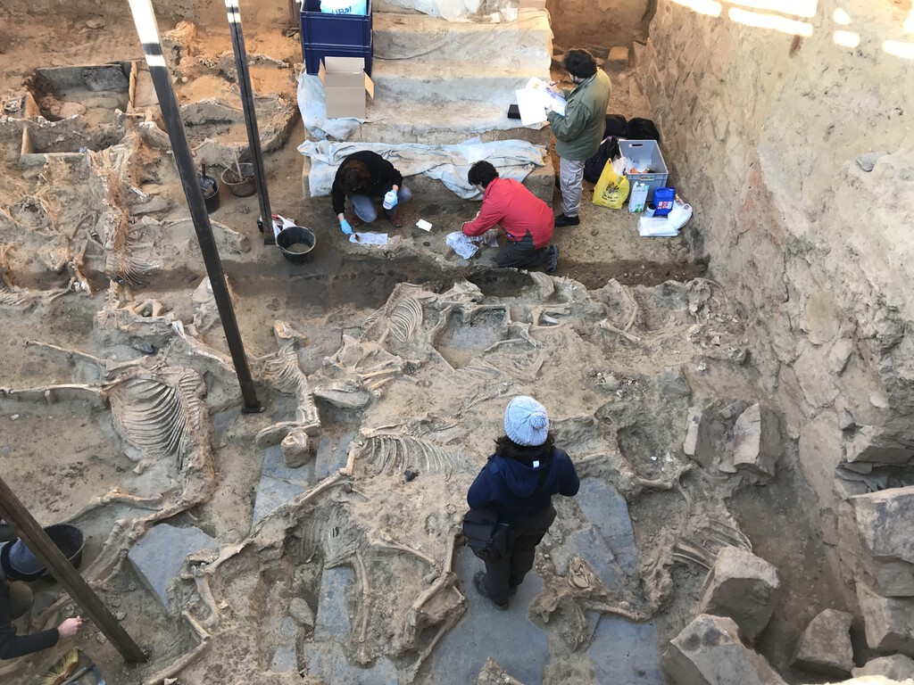 La civilización tartésica es uno de los grandes enigmas de la península. Ahora está desvelándose desde un pueblo de Badajoz