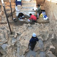Seguimos sin saber dónde estuvo Tartessos, pero sí tenemos claro dónde vamos a resolver el enigma: en Badajoz