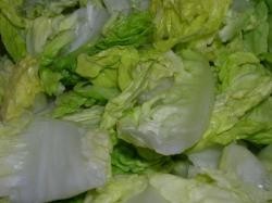 El veganismo o vegetarianismo estricto