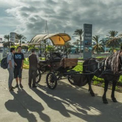 Foto 7 de 13 de la galería analisis-nikon-d810 en Xataka Foto