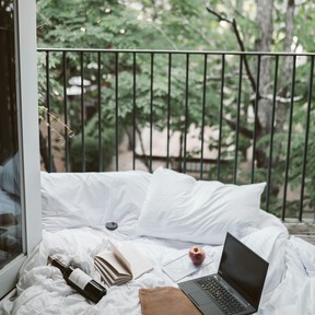 Aterriza el viernes en Lidl la celosía con plantas ideal para hacer frente a las paredes feas de la terraza por menos de 18 euros