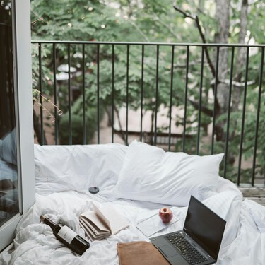 Aterriza el viernes en Lidl la celosía con plantas ideal para hacer frente a las paredes feas de la terraza por menos de 18 euros