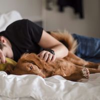 Llevamos décadas obsesionados con dormir "ocho horas" cada noche para descansar. Y ahí reside el problema