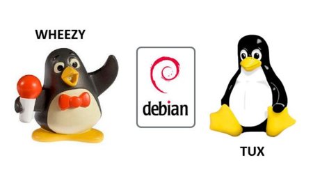 Debian 7.0 ya tiene nombre
