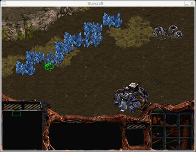 StarCraft podría llegar a Linux de forma no oficial