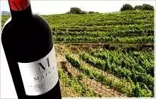 Maius 2004, Denominación de Origen Priorato
