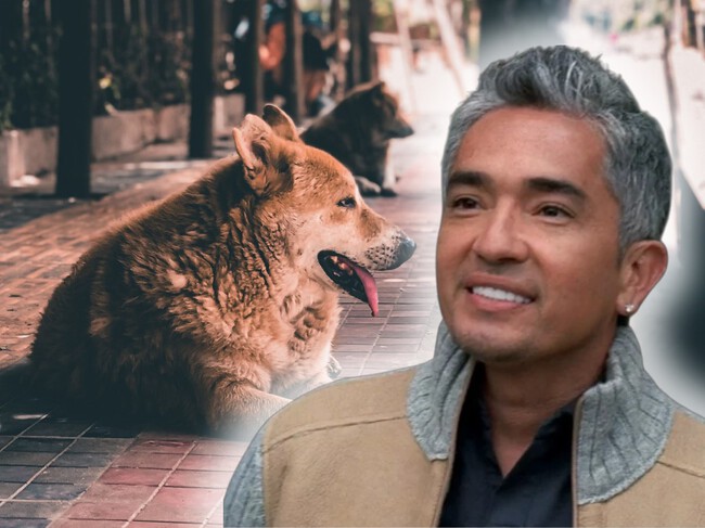 Cesar Millan