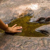 Las terribles lluvias de 2025 revelaron una sorpresa inesperada en Puebla: huellas de dinosaurios