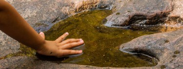 Las terribles lluvias de 2025 revelaron una sorpresa inesperada en Puebla: huellas de dinosaurios