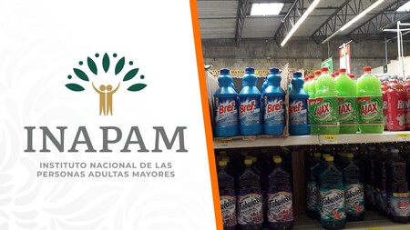 Adultos mayores con credencial INAPAM: descubre cuáles son las tiendas de abarrotes que brindan descuentos en todo México