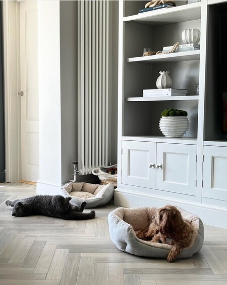 Saveclip App 494442742 18401759902104618 1968767136092912491 N