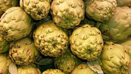 Alimentos que contribuyen a una buena digestión