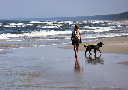 Sacar a pasear a tu perro en verano y en olas de calor