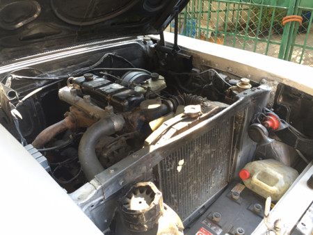 Rocney Almendron La Habana