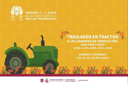 No es Puebla ni Tlaxcala: descubre el Sendero de las Almas, el campo de cempasúchil más bonito de CDMX