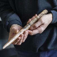 Lo sorprendente no es que llevemos 20.000 años fabricando cosas con hueso de ballena. Es que empezamos antes de aprender a cazarlas