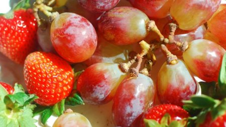 Las vitaminas son imprescindibles para quemar grasa