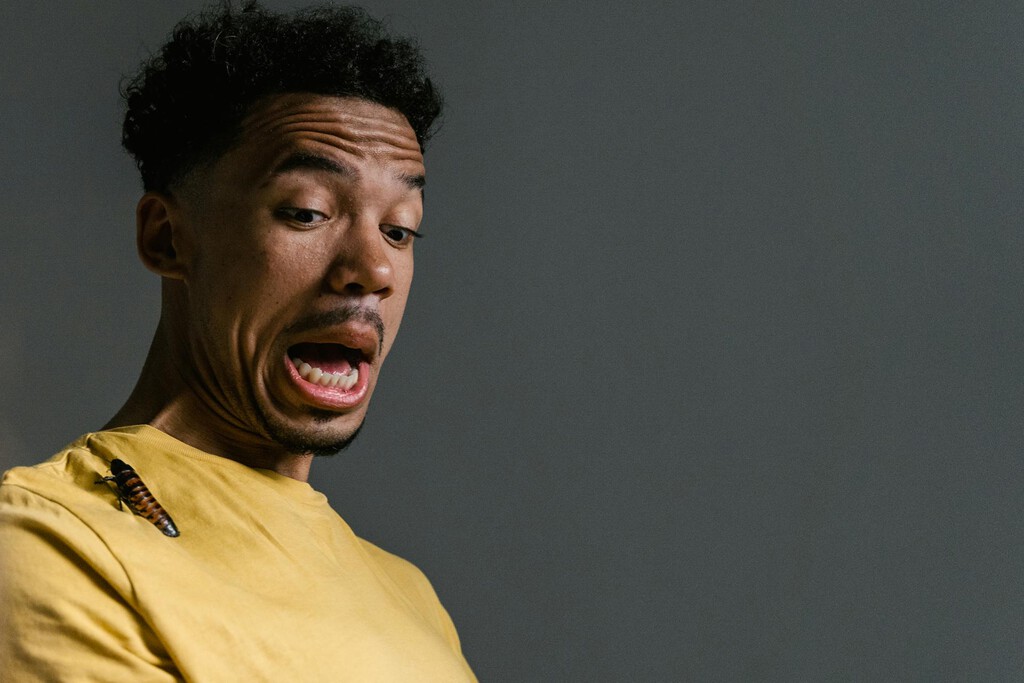 El truco para acabar con las cucarachas usando ingredientes que tienes en la cocina: así puedes hacerlo