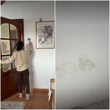 Andrea Caaveiro, sobre la condensación en casa: "Es muy importante hacer esto al menos 15 minutos al día, para evitar que salgan manchas de moho y humedad en techos y paredes" 
