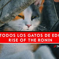 Rise of the Ronin | Dónde encontrar todos los gatos del área de Edo