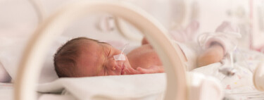 El virus respiratorio sincitial, ese gran desconocido que causa la mayoría de las bronquiolitis en bebés y puede ser muy grave 