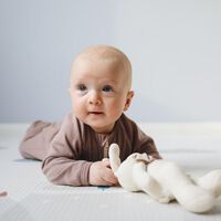 El mundo a través de los ojos de los bebés: a los cuatro meses ya son capaces de clasificar objetos 