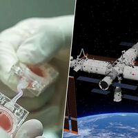 China quiere ganar la otra carrera espacial: la de tener bebés en el espacio