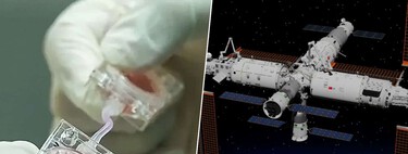 Los seres humanos estamos dejando de tener hijos en la Tierra. China está buscando la solución en el espacio