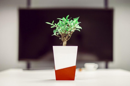 La maceta inteligente que riega las plantas en tu ausencia