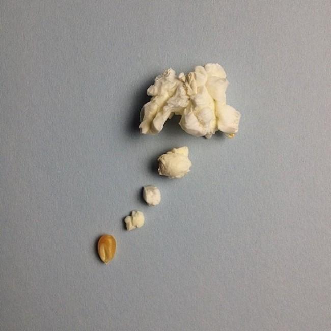 Brock Davis palomitas