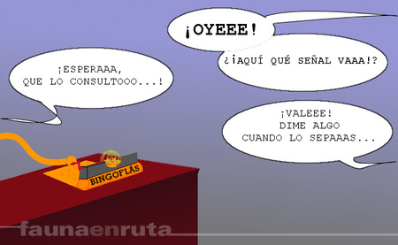 fauna en ruta: límites de velocidad