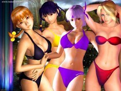 Dead or Alive The Movie, el reparto