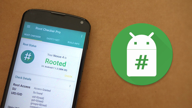 Root