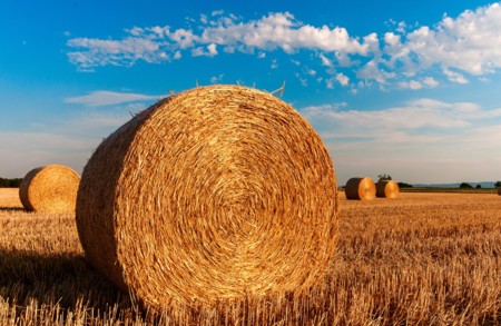 Straw Bales 726976 1920