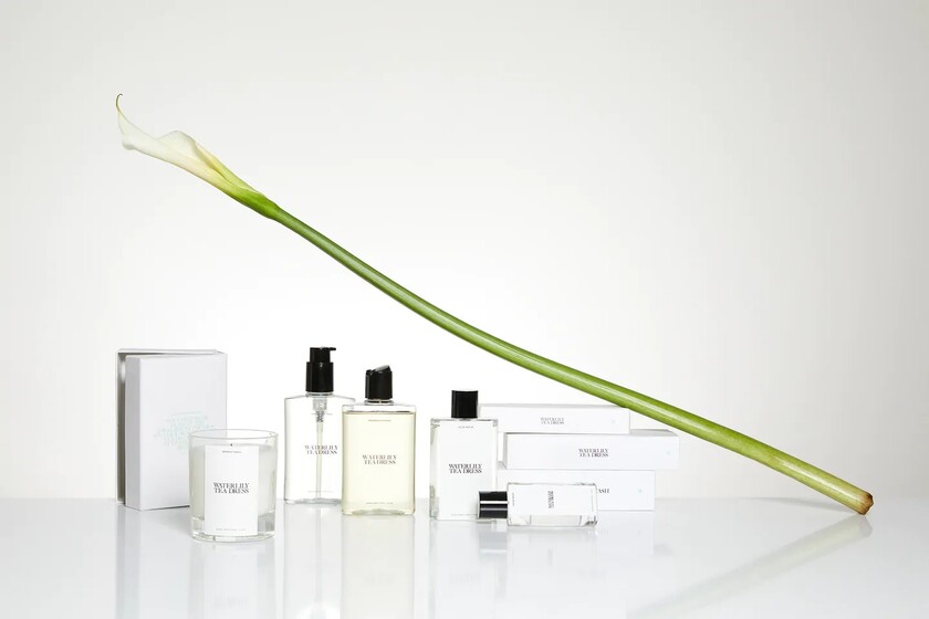 Si eres de las que adora la colección de perfumes Zara Emotions (by Jo