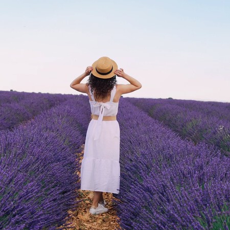 Campos Lavanda Sin Turistas Desconocidos