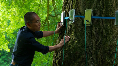 El Amigo Silencioso 2025 Tony Leung