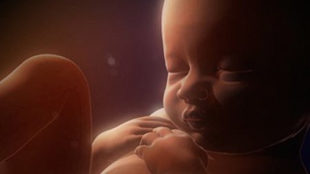 Como se forma un bebe semana a semana
