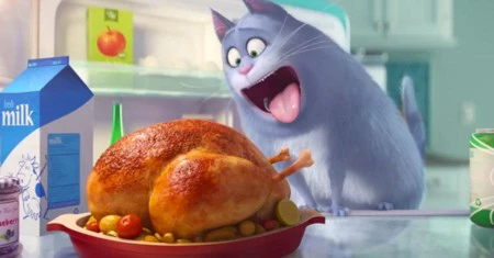 'Mascotas', tráiler del nuevo bombazo de los creadores de Gru y los Minions