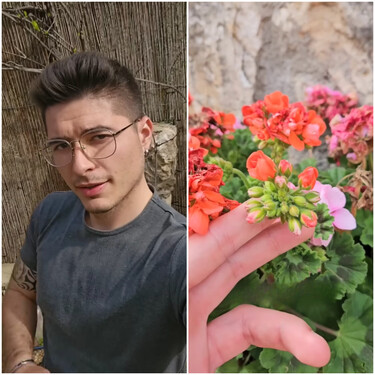 Jaime Gumiel, experto en plantas: "Si tienes geranios y quieres saber como tenerlos con floración todos los años y todos los meses, este es el mejor truco"