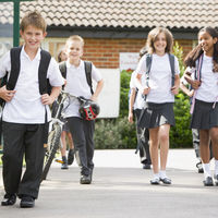 Educación plantea una vuelta al cole semipresencial en España a partir de tercero de la ESO y grupos burbuja para el resto