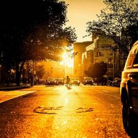 La utopía de un combustible solar inspirado en lo que hace la naturaleza: hidrocarburos líquidos gracias al sol