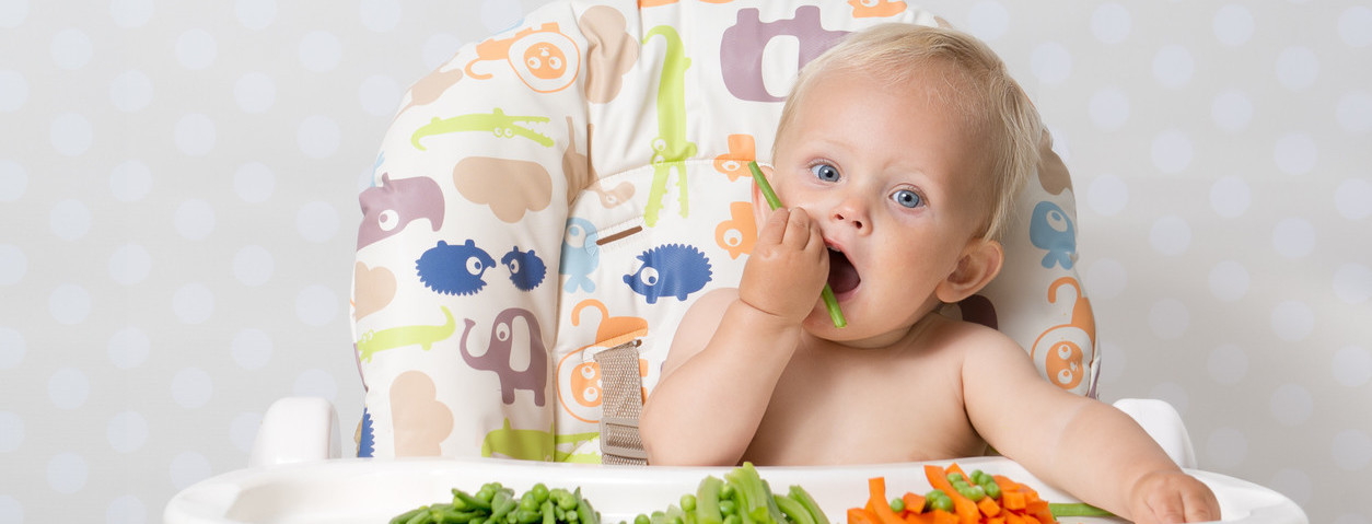Verduras En La Alimentacion Infantil Tomate Apio Y Zanahoria