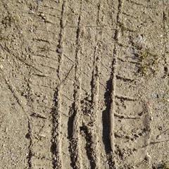 Foto 5 de 22 de la galería xiaomi-mi-max-camara-1 en Xataka Android