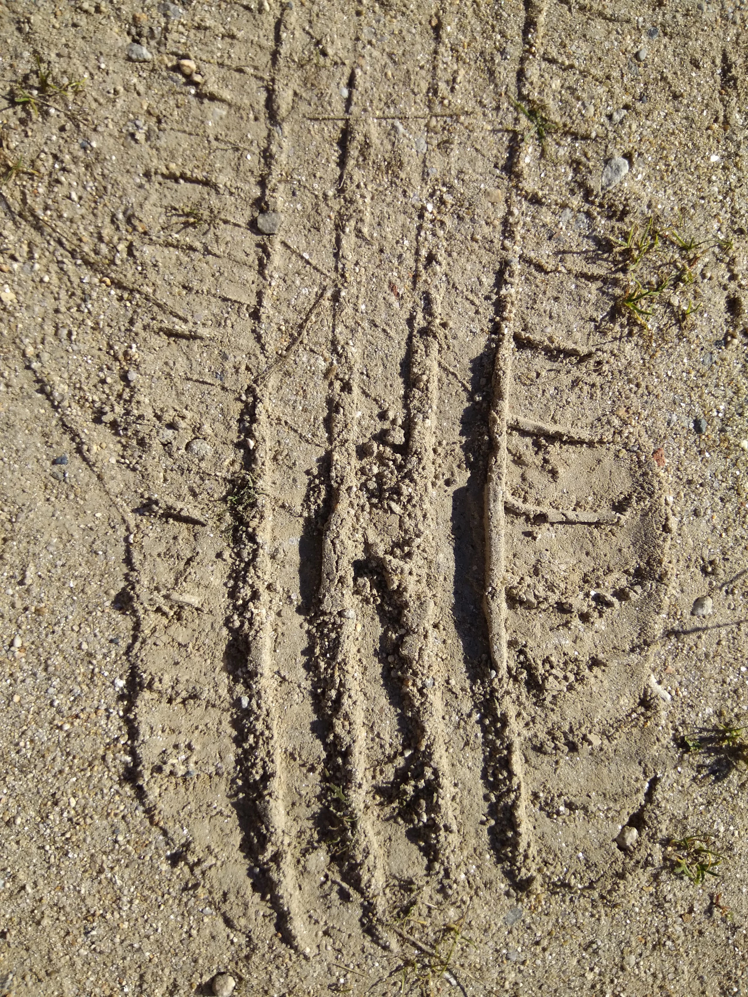 Foto de Xiaomi Mi Max, cámara (5/22)