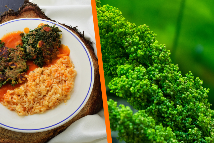 Qué es el huauzontle, cuáles son sus beneficios y cómo usarlo en la